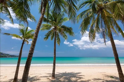 tropics Kamala CTG L604, near FantaSea & Café Del Mar Beach Club – 照片 9